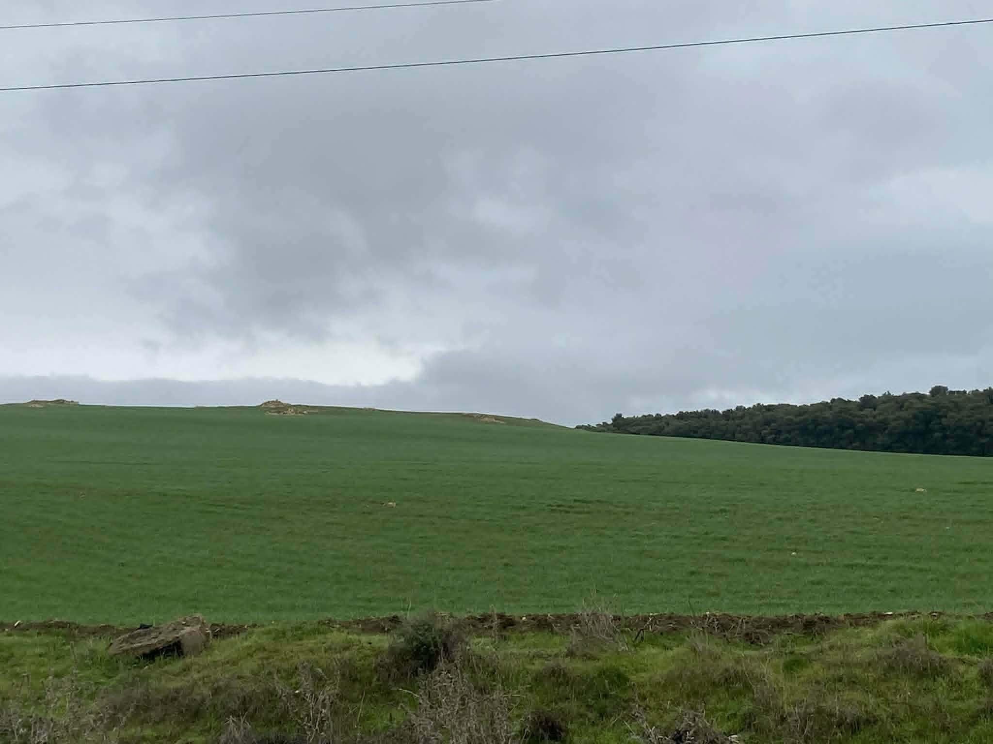 عضو المكتب التنفيذي لاتحاد الفلاحة والصيد البحري المكلف بالموارد الطبيعية لـ«الصباح»: إنتهاء البذر في 9 ولايات.. والأمطار تبشّر بموسم واعد للزراعات الكبرى 
